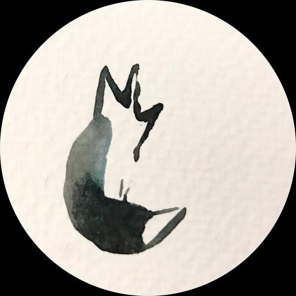 lilfoxsalvage